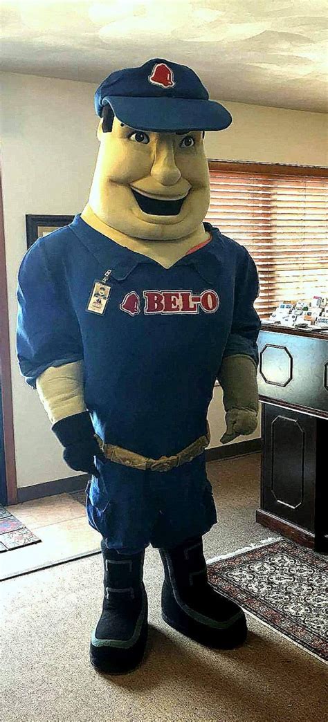 how to clean mascot costumes